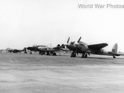 Mosquito at Hammer Field California