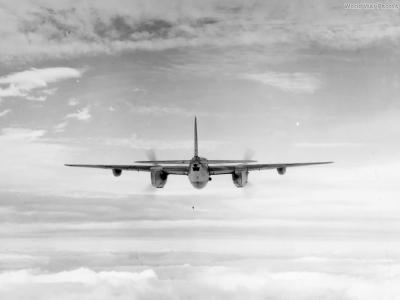 Mosquito B XVI rear