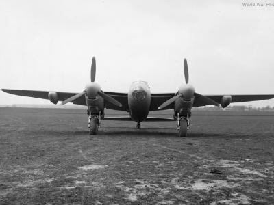Mosquito front 2