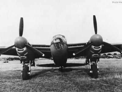 Mosquito front 3