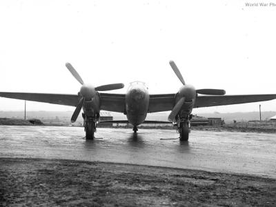 Mosquito front