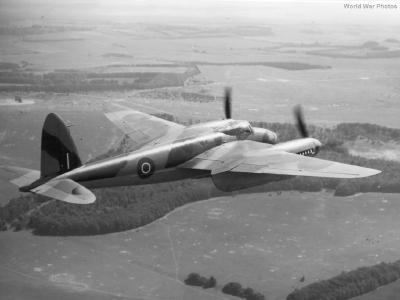 Mosquito in flight 2