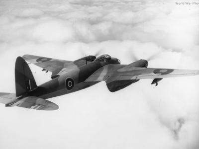 Mosquito in flight
