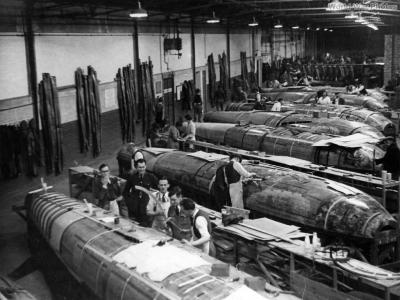 Mosquito production line