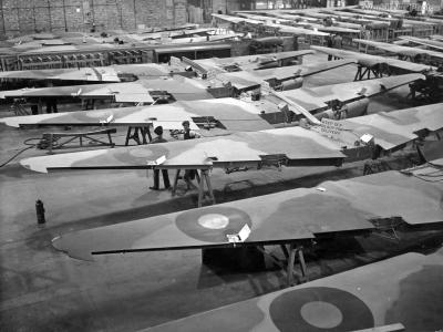 Mosquito part 2