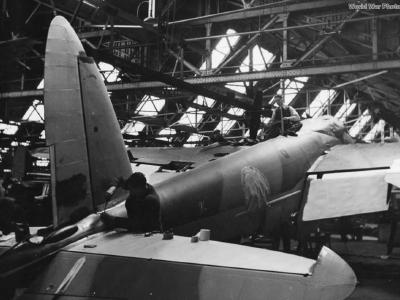 Mosquito on assembly line 2