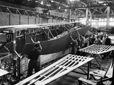 Mosquito wing assembly