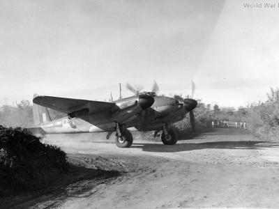 Mosquito Burma