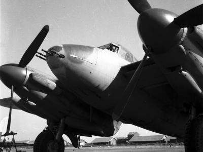Mosquito CBI