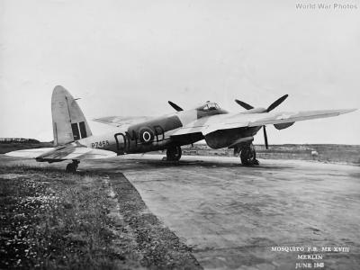 Mosquito Tsetse
