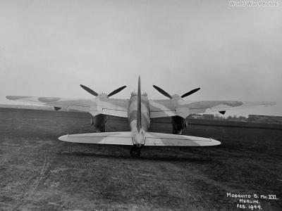 Mosquito Mk XVI