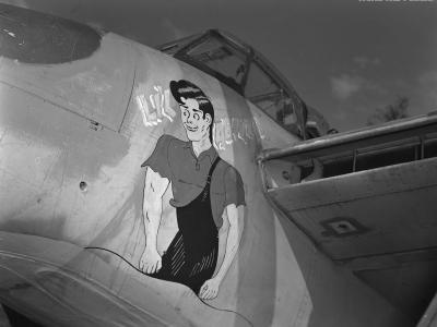 Mosquito Nose art Abner