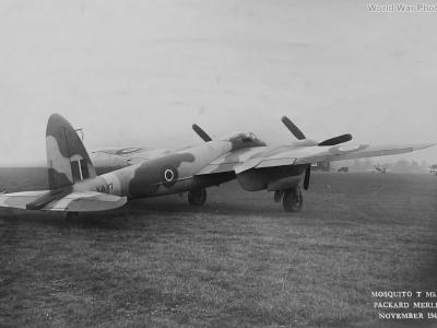 Mosquito T Mk 29