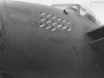 Mosquito nose