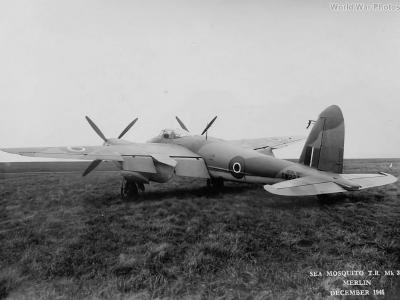 Sea Mosquito TR Mk 33