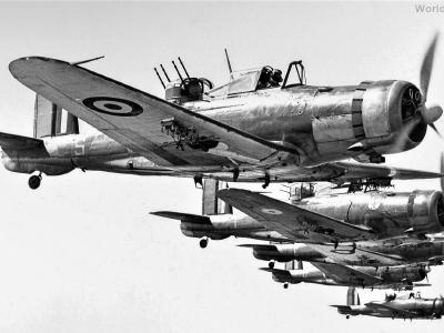 Blackburn Roc