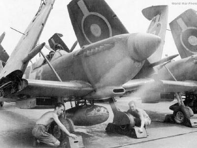 Seafire III 123 of No. 801 Squadron