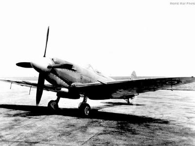 Supermarine Seafire Mk 17