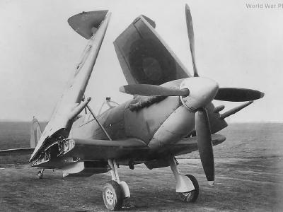 Supermarine Seafire Mk III