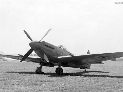 Seafire Mk XV