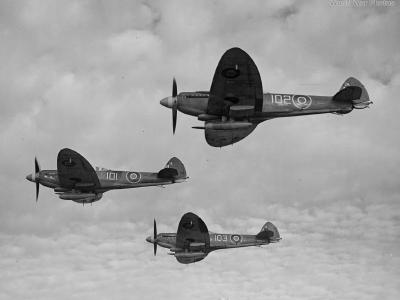 Seafire