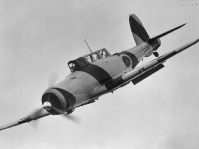 Blackburn Skua L3007