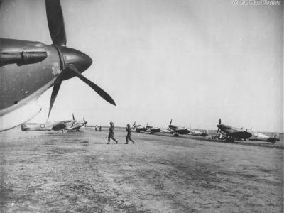 SPITFIRES 145 SQUADRON IN ALGERIA