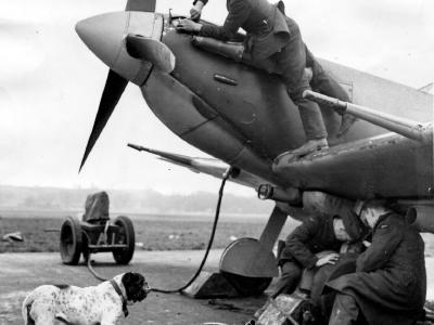 Spitfire 504 Sqn