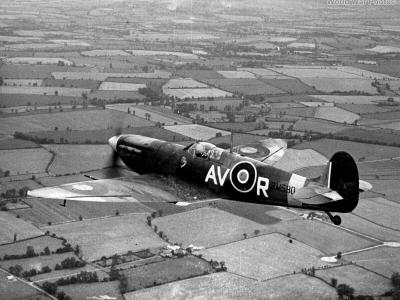 Spitfire Mk Vb BM590