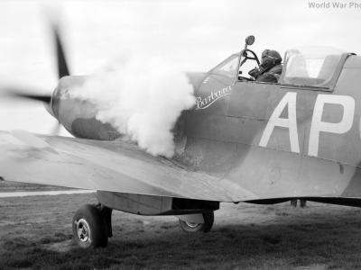 Spitfire XIV