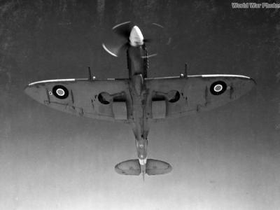 Spitfire XIV in Flight