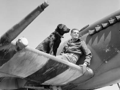 Wing Commander Johnson of No. 144 (Canadian) Wing RAF and Spitfire Mark IX at Bazenville/B2 airfield, Normandy 1944