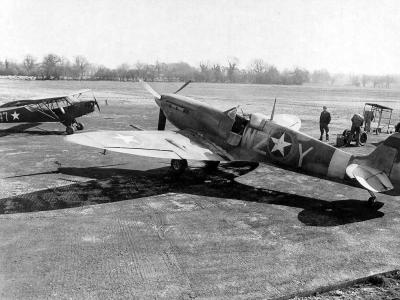 Spitfire Mk V code WZ-Y of the USAAF