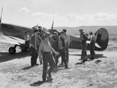 Supermarine Spitfire Mk IX EN445 No. 81 Squadron RAF Tunisia