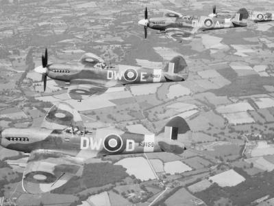 Spitfires Mk XIV RB159 DW-D, RB167 E, RB150 A, and RB156 G, January 1944