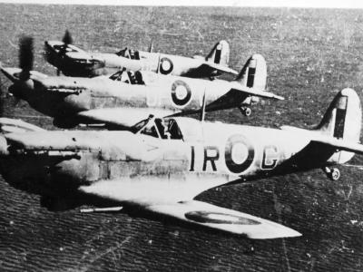 Spitfires Mk V of No. 601 Squadron RAF
