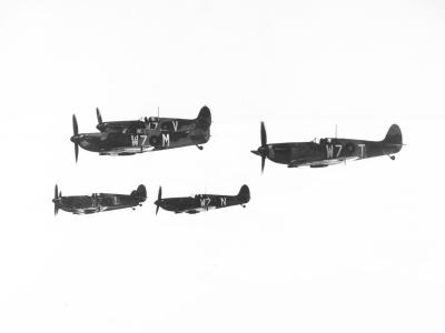 Spitfires Mk I of No. 19 Squadron RAF
