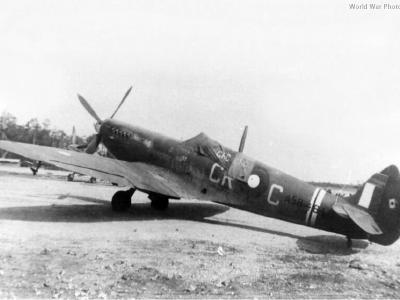Spitfire L.F. Mk VIII A58-484 CR-C