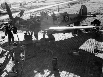 Spitfire LFVIII JF503 ZX-W February 1944