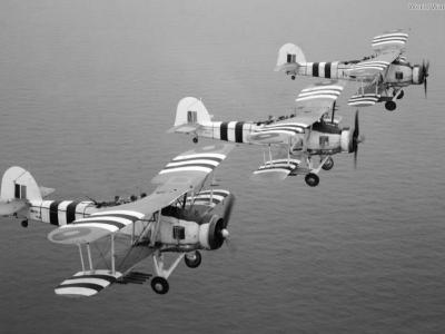 Swordfishes from 816 Squadron August 1944