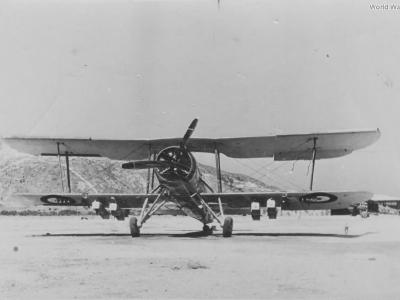 Captured Swordfish