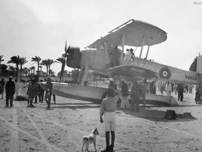 Swordfish of No. 700 Squadron from HMS Warspite