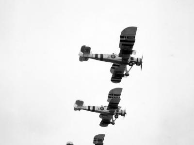 Swordfish 816 1944