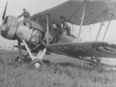 Fairey Swordfish France 1940
