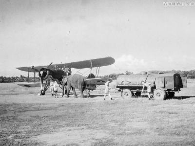 Swordfish Puttalam India 1944