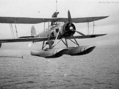 Swordfish being lifted