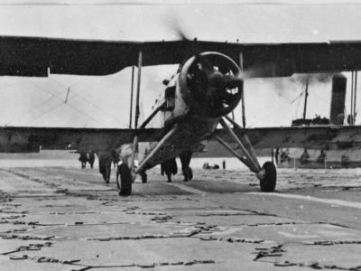 Swordfish landing on the Lily floating air strip