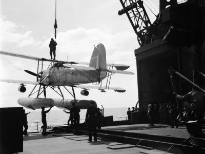 Swordfish