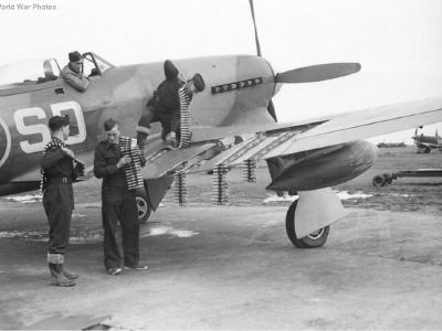 Tempest Mk V of No. 501 Squadron RAF