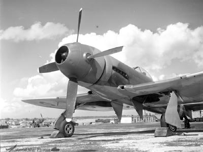 Tempest V NV768